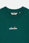 Толстовка Ellesse FAIRROS UNISEX, Dark Green - фото 3