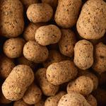 Гантель Вафтер Гаммарус CAPERLAN - фото 3