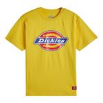 Детская футболка Dickies, синий - фото 4