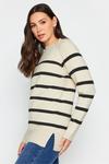 Полосатый свитер Long Tall Sally, бежевый - фото 4
