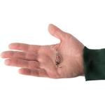 Размер блесны Weta+ 3 серебряные/красные точки для ловли хищной рыбы CAPERLAN, светло-серый/красный - фото 3