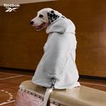 Одежда для собак и дождевики Reebok - фото 2