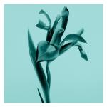 Парфюмерная вода Tiffany & Co. Tiffany & Co., 75 мл - фото 5