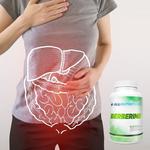 Allnutrition, Берберин, 90 капсул. - фото 4