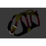 Шлейка для собаки Флаглайн Ruffwear, зеленый - фото 3