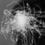 VIDI Подушки VIDI Velvet Pillow - фото 4