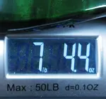 Gibson Ltd Ed SG Custom с рисунком, 2 звукоснимателя, 2025, Green Widow Burst - фото 16