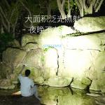 Фонарь USB повседневный SMILING SHARK - фото 4