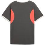 Shirt individualliga graphic jersey jr Puma, белый - фото 2