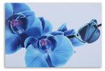 Картина на холсте Feeby Orchidee Blau Blumen, синий - фото 3