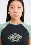 Футболка Dickies FORTH SHAW TEE, Sea Spray/Dark Green - фото 4