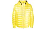 Пуховик мужской желтый Moncler - фото