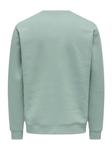 Only & Sons Свитшот 'ONSCONNOR' в цвете Mint - фото 2