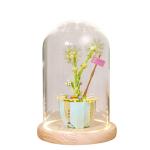 Wl-Creative Кирпич, 2082+2083+2084+20854 суккулента - фото 5