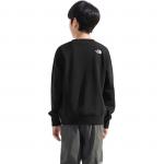 Детский свитшот THE NORTH FACE, черный - фото 2