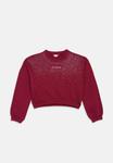 Толстовка Guess JUNIOR CROP ACTIVE, Ballroom Red/Bordeaux - фото