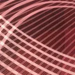 Чехол для подушки ELMER Home Wohnideen, бордовый - фото 3