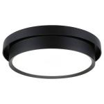 Потолочный светильник Paulmann Malik, черный - фото