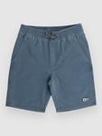 Пляжные шорты Salty Crew Seadog Volley Kids Boardshorts, navy - фото