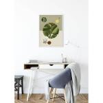 Фреска Komar Green Structure, разноцветный - фото 2