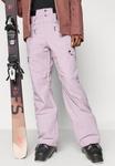 Лыжные брюки Roxy PASSIVE LINES , Nirvana/Light Pink - фото 5