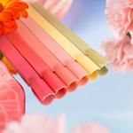 PB NAILS Hybrid Varnish - FLORES DE MAR - 8 мл - фото 3