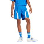 Шорты adidas Adicolor Teamgeist Shorts 'Blue White' - фото 2