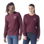 Футболка Smartwool Bear Stare Graphic long sleeve, фиолетовый - фото