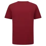 Футболка Santini Eroica Strada, красный - фото 2