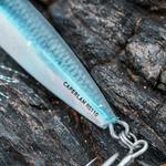 Искусственная приманка BIASTOS 110 г анчоус CAPERLAN - фото 8