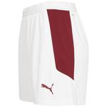 Швейцария Женские шорты PUMA - фото 2