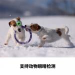 Фотоаппарат Canon EOS R5 8K - фото 5