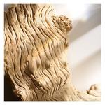 Парфюмерная вода Michael Kors Wonderlust, 100 мл - фото 7