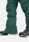 Лыжные брюки Quiksilver ESTATE PT, Tkr/Green - фото 7