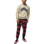 Худи Air Jordan FW22 Logo, хаки - фото 2