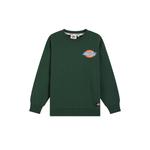 Унисекс свитшот Dickies, синий - фото 4