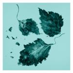 Парфюмерная вода Tiffany & Co. Tiffany & Co., 75 мл - фото 7