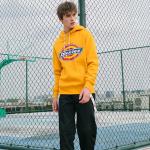 Толстовка мужская хаки Dickies, желтый - фото 2