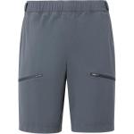 Спортивные шорты мужские HELLY HANSEN, синий - фото 2