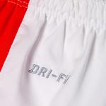 Nike Мужские шорты Casual Dri-Fit белые - фото 5