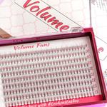 Ресницы Volume Fans 6D - Микс Looksus Lashes - фото 3