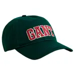 Кепка Gant 9900256, зеленый - фото