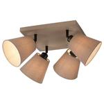 Потолочный светильник Just Light. Riala - фото