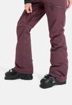 Лыжные брюки Roxy Ski pants, Rrf/Bordeaux - фото 5
