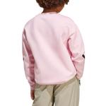 Adidas Свитшот Pink Black для подростков - фото 4