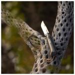 Нож n°08 бародер черный коричневый Opinel - фото 3