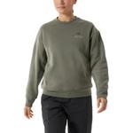 Свитшот с эмблемой Women's Arcteryx, коричневый - фото 11