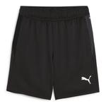 Детские шорты Puma teamGOAL Training Short Jr 658644 - фото