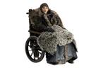 Фигурка Bran Stark Game Of Thrones, Deluxe Version, 30 см Threezero - фото 2