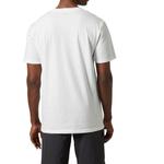 Футболка Nord мужская HELLY HANSEN, коричневый - фото 8